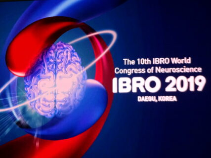 Zum Artikel "IBRO World Congress of Neuroscience 2019 in Daegu, South Korea"