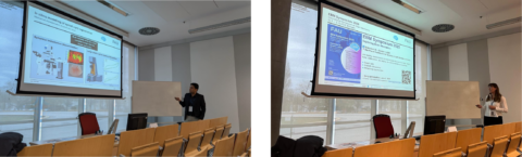 Symbolic picture for the article. The link opens the image in a large view.